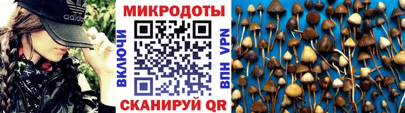 Псилоцибиновые грибы ЛСД  Осташков 